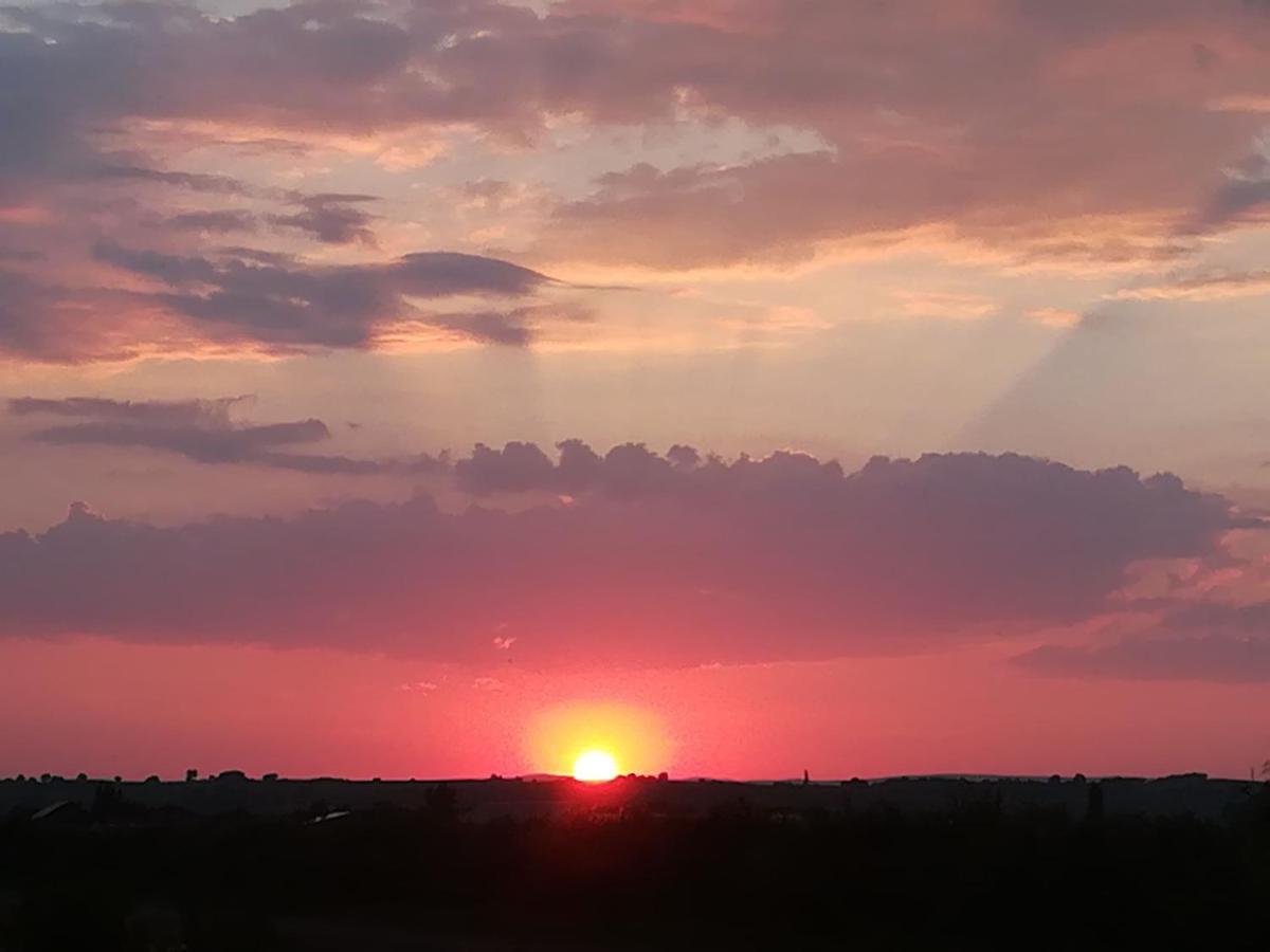 Pfahlbau Sunset II Toplage Inklusive Elektroboot Rust Dış mekan fotoğraf