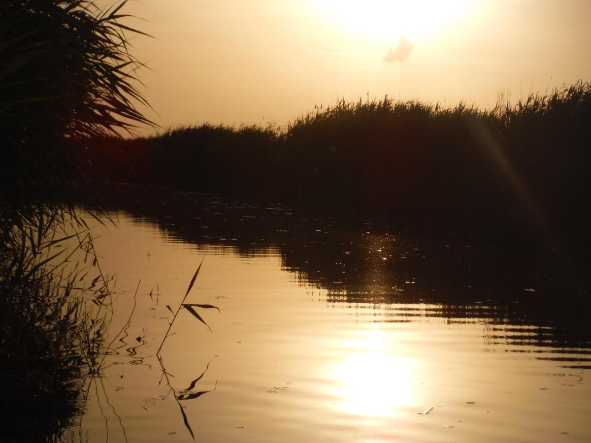 Pfahlbau Sunset II Toplage Inklusive Elektroboot Rust Dış mekan fotoğraf